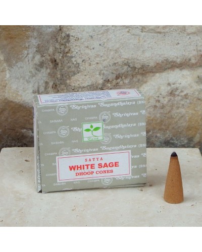 Encens Sauge Blanche pour pyramide PURIFICATION MINERAUX