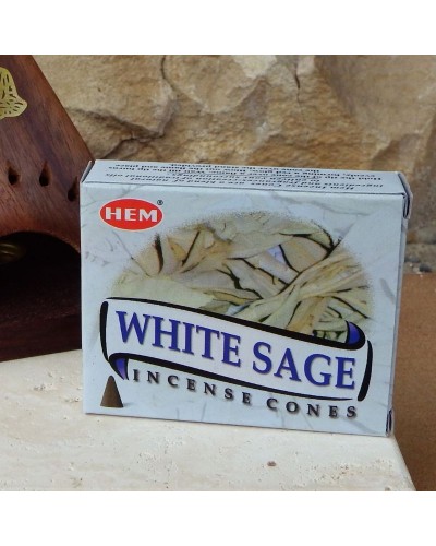 Encens Sauge Blanche Cônes pour pyramide PURIFICATION MINERAUX