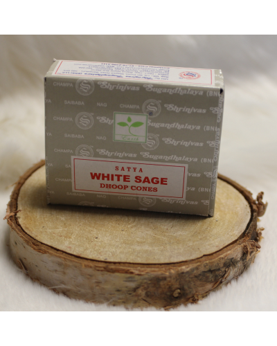 Encens Sauge Blanche pour pyramide PURIFICATION MINERAUX