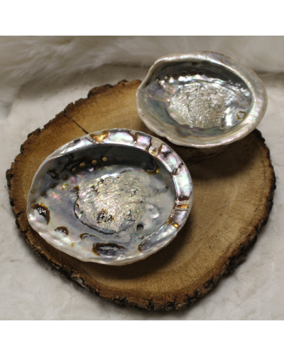 Coquille d'ormeau PURIFICATION MINERAUX