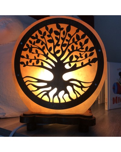Lampe de Sel d'Himalaya Fleur de vie 5KG (Ampoules Fournies)