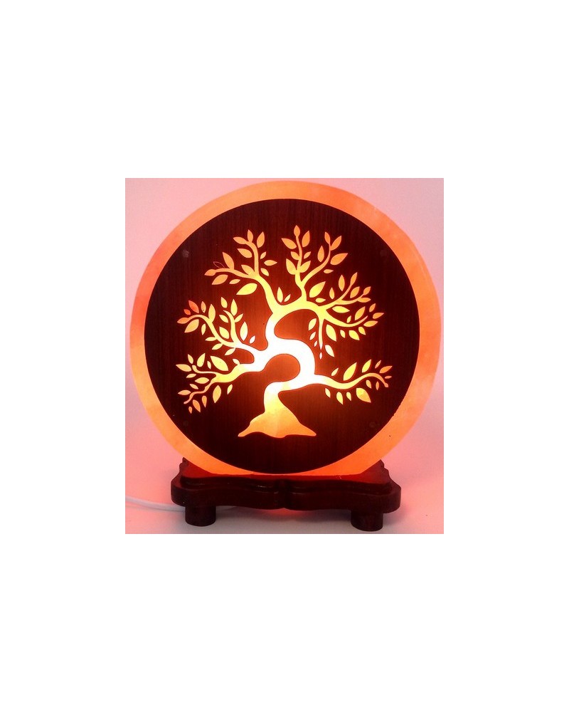 Lampe de Sel d'Himalaya Fleur de vie 5KG (Ampoules Fournies)