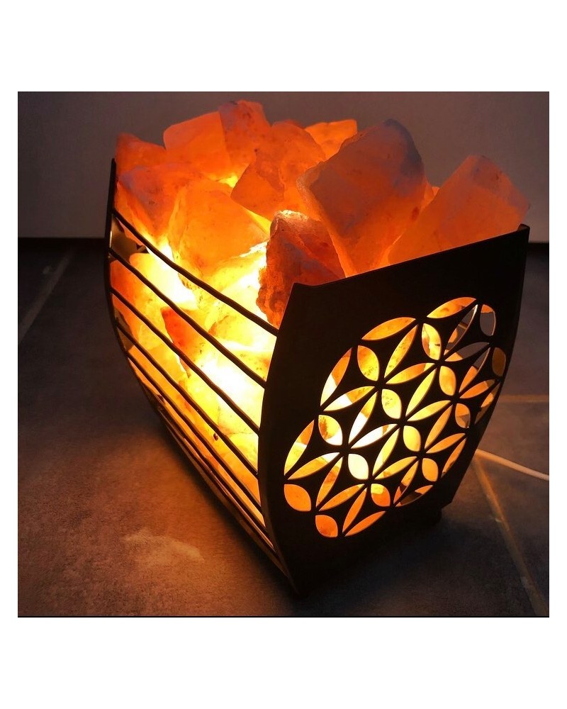Lampe de Sel d'Himalaya Fleur de vie 3KG (Ampoules Fournies)