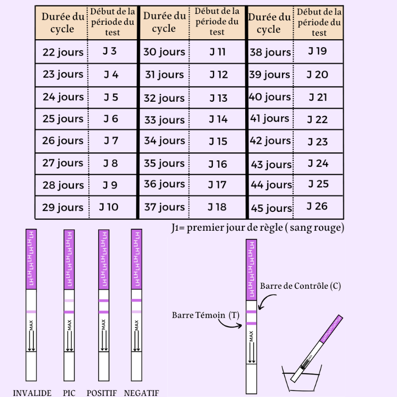 Test Ovulation