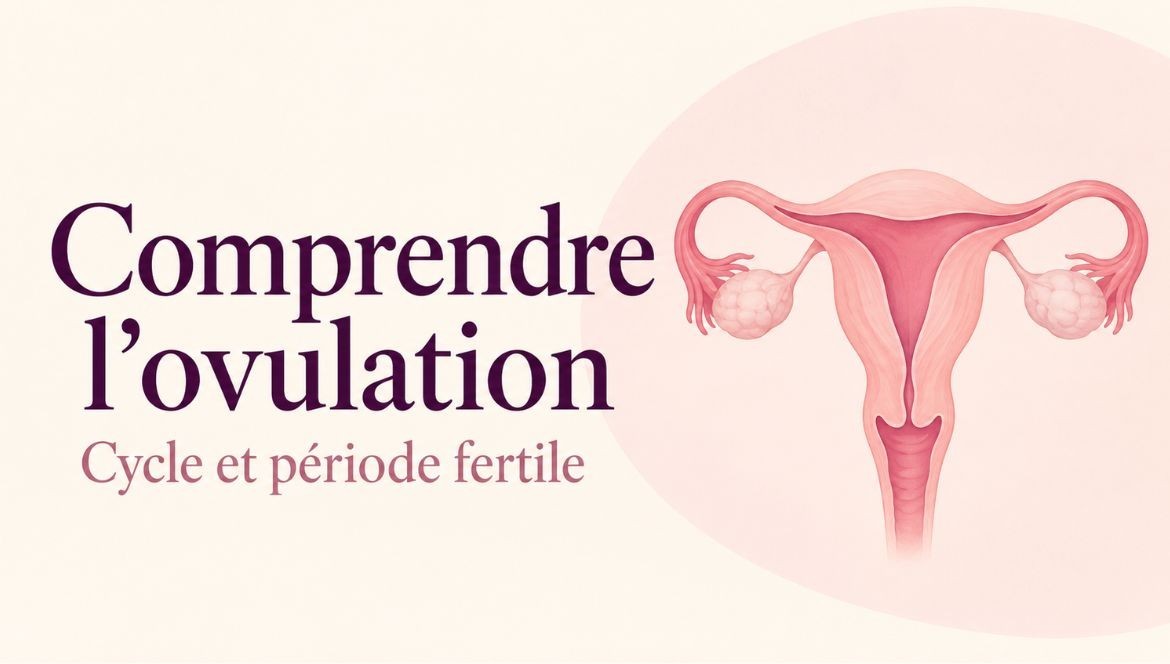 Ovulation et période fertile : comprendre son cycle menstruel et identifier ses jours fertiles